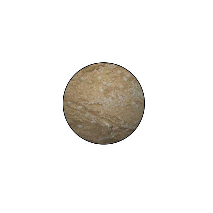 معجون الجيلدرز، الفضة الألمانية