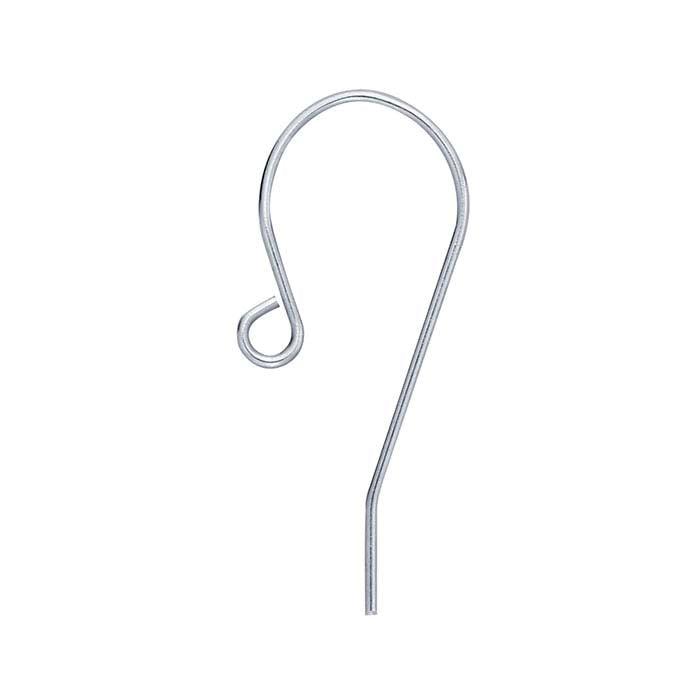 Roestvrijstalen Oorhaak Paar met Buitenste Lus