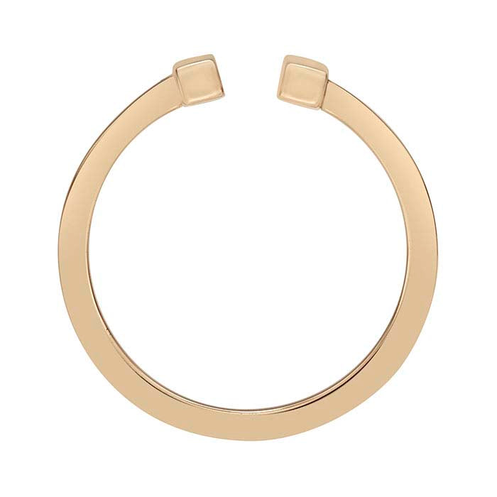 Anillo de Barra Paralela de Bronce, Ajustable