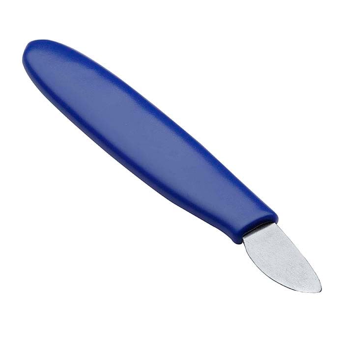 Swiss-Style Non-Folding Watch Case Knife