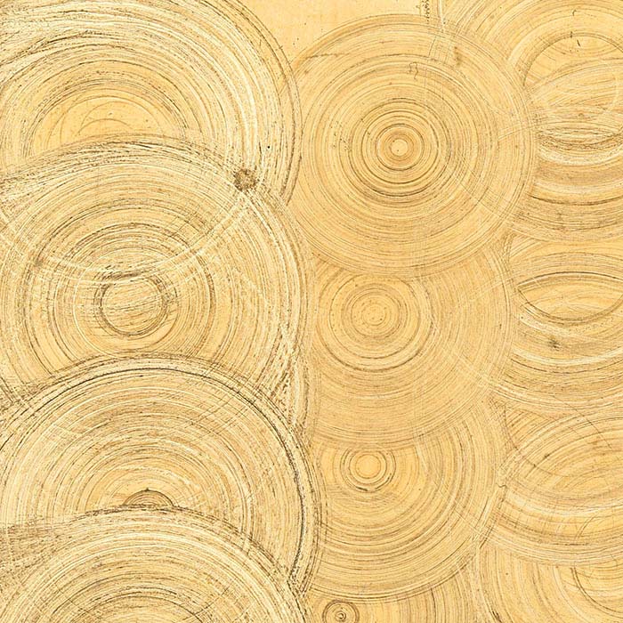 Roloc™ 25.4mm Bristle Disc