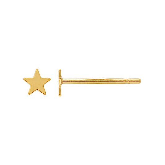 Tiny Star Post Earring