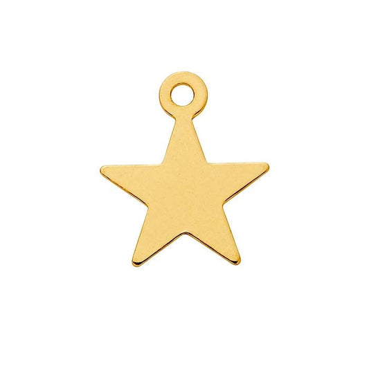 14/20 Geel Goud Gevuld Ster Bedel