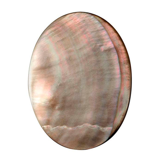 Zwarte Parelmoer 40 x 30mm Ovale Cabochon