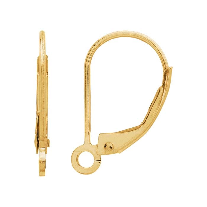 Lever-Back Ear Wire with Ring