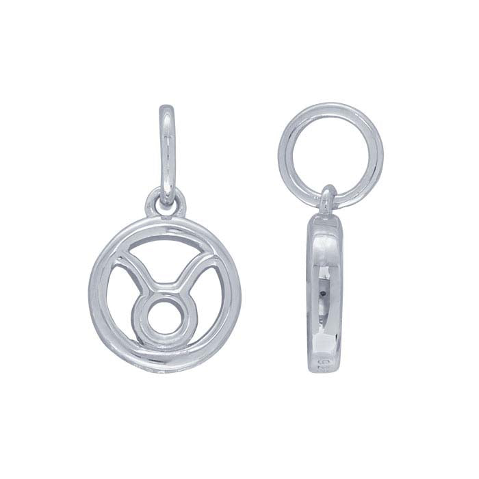 Sterling Silver Zodiac Charm