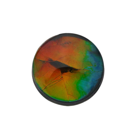 Cabochon triplet rond Korite Ammolite 6 mm